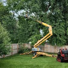 Reliable North Arlington, NJ Tree Removal and Landscaping Services Solutions